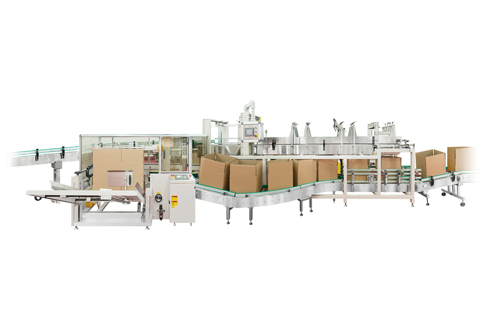 4511628216006674.jpg ZDP-1NA智能跌落式裝箱機.jpg